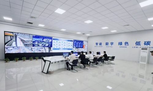 一座工廠的突圍之路 大連電瓷副董事長兼總經理應瑩庭與百年絕緣子企業的轉型智慧