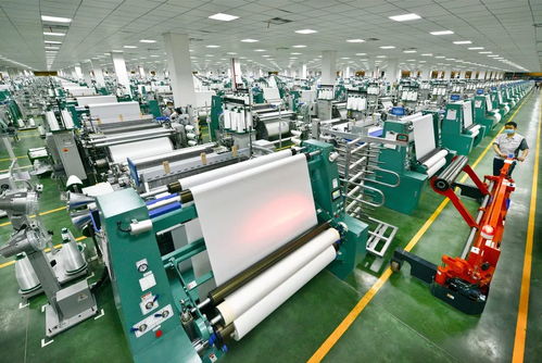 畝均論英雄 增聚開發(fā)區(qū)與高橋街道高質量發(fā)展動能的社會經濟咨詢服務路徑探索