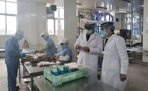 強化線上服務，鎮(zhèn)海海關護航食品農產品出口